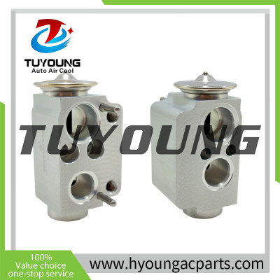 China factory wholesale Auto ac expansion valve fit BMW 128i 135i X1 X3 320i 64119226078 64119182512 64116934406