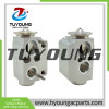 China factory wholesale Auto ac expansion valve fit BMW 128i 135i X1 X3 320i 64119226078 64119182512 64116934406