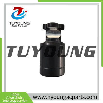 Auto A/C Compressors Piston Assy