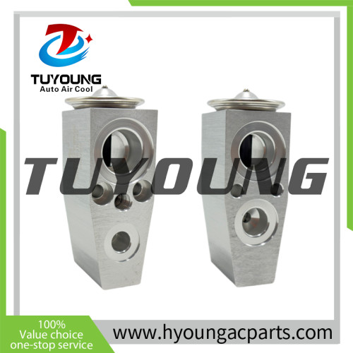Chevrolet Aveo Trax/Tracker auto ac expansion valves Opel Mokka 95018101 valve block China factory produce