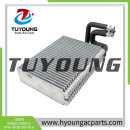 Auto AC Evaporators Claas Axion/Celtis Typ 547/557/567/617/657/697/810/820/830/840/850/930/426/436/446/456 52496666 6005029037 62052611A