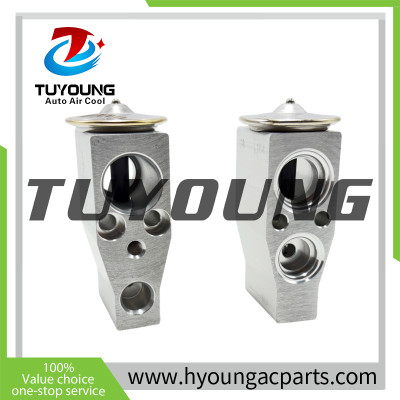 Auto AC Expansion Valve fit Isuzu D-max, fit OEM Evaporator RHD 8981393761 8981393762 8982915310