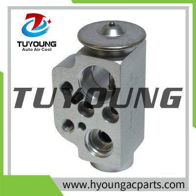 TUYOUNG China supply auto ac expansion valves for AUDI Q7 (4LB)  VW TOUAREG 7L0820712B 7L0820712A, HY-PZF296