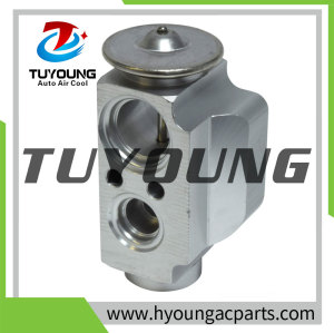 TUYOUNG China supply auto ac expansion valves for AUDI Q7 (4LB)  VW TOUAREG 7L0820712B 7L0820712A, HY-PZF296