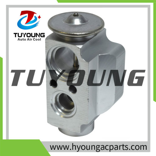 TUYOUNG China supply auto ac expansion valves for AUDI Q7 (4LB)  VW TOUAREG 7L0820712B 7L0820712A, HY-PZF296