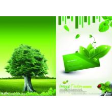 Promoting the innovation and development of environmental equipment