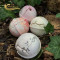 Best veganic wholesale bath bombs fizzy for Christmas gift