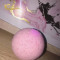 Best veganic wholesale bath bombs fizzy for Christmas gift