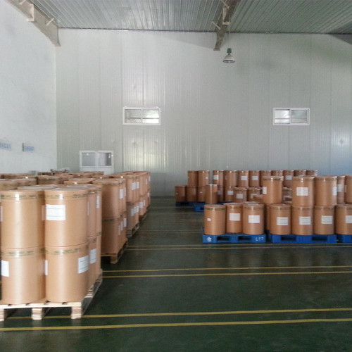 TNN Factory Supply Natamycin 50% Glucose CAS NO.7681-93-8