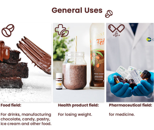 TNN | Cocoa Powder |  Cocoa Bean Powder | Thick Hot Chocolate Recipe | Chocolate Raw Materials | China Wholesale Manufacturer