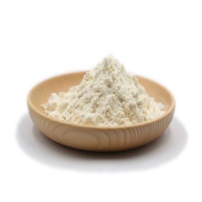 chitosan powder