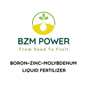 Boron Zinc Molybdenum Liquid fertilizer