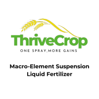High-Load NPK+B+Zn Liquid Fertilizer (600g/L) - Prevents Nutrient Deficiencies