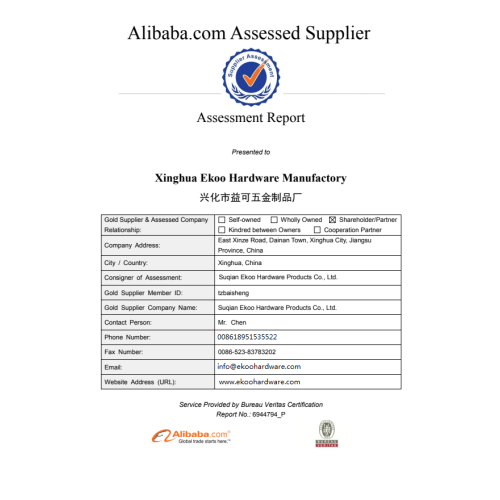 Supplier Audit Bureau Veritas Certification