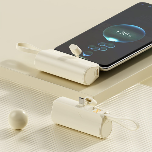 OEM Factory Capsule Direct-plug Power Bank