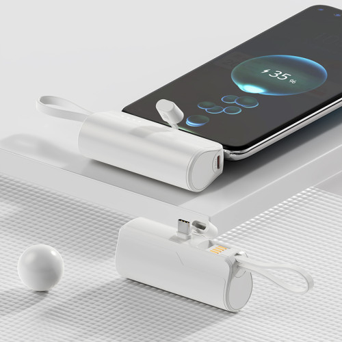 OEM Factory Capsule Direct-plug Power Bank