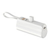 OEM Factory Capsule Direct-plug Power Bank