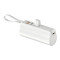 OEM Factory Capsule Direct-plug Power Bank