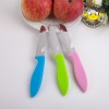 Manufacture Mini Fruit Knife Paring Knife With Plastic Knife Sheath