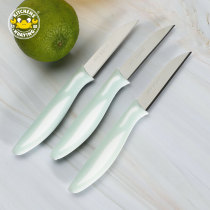 Hot Sale Stainless Steel Fruit Knife Set Series
