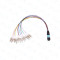 MPO/MTP Fan-out Patch Cord and Harness Cable of 12/24/36/48/72/96/144 fibers Fiber Optic Patch cord