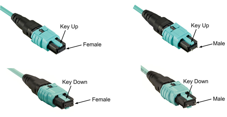 MTP/MPO Patch cord