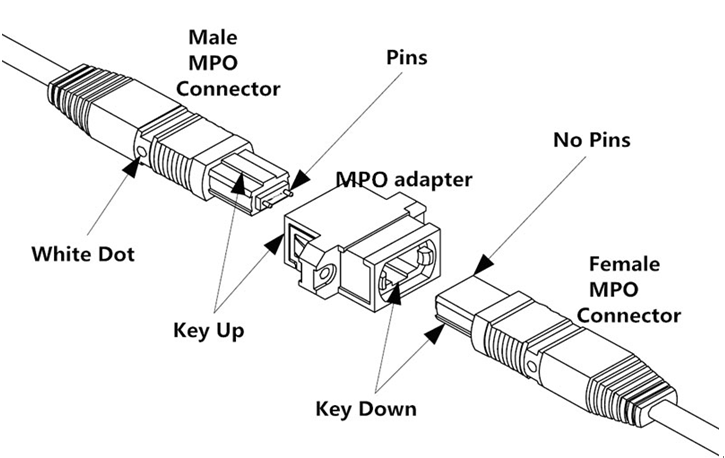 MTP/MPO Patch cord