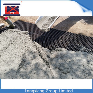 Longxiang Plastic High Speed Way Paving Grid