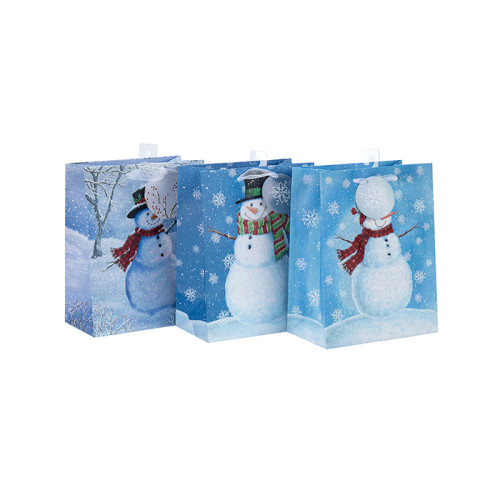 中国のサプライヤーカラフルな装飾的な印刷されたクリスマスギフト紙袋は、3つのデザインとトングパッキングで盛り合わせ