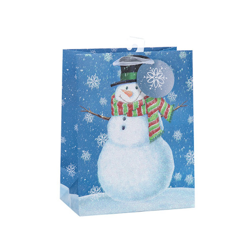 中国のサプライヤーカラフルな装飾的な印刷されたクリスマスギフト紙袋は、3つのデザインとトングパッキングで盛り合わせ