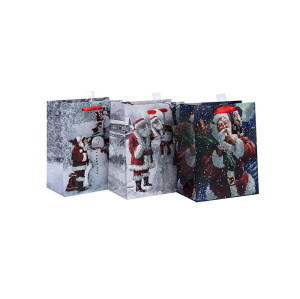 Lovely Christmas Fancy Design Impreso Decoración Bolsa de papel de regalo con 3 diseños surtidos en Tongle Packing
