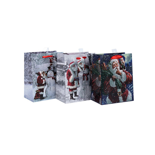 Lovely Christmas Fancy Design Impreso Decoración Bolsa de papel de regalo con 3 diseños surtidos en Tongle Packing