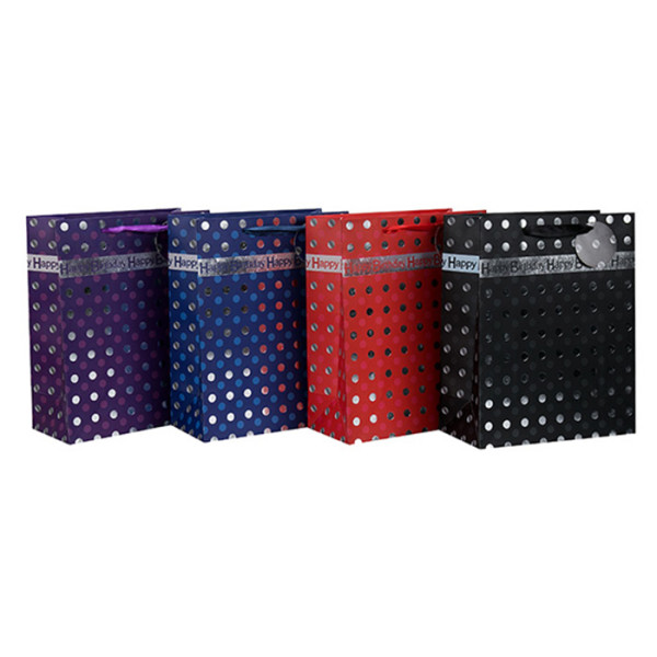 Nuevos productos Bolsa de regalo de cumpleaños de papel de diseño único con 4 diseños surtidos en embalaje de llave