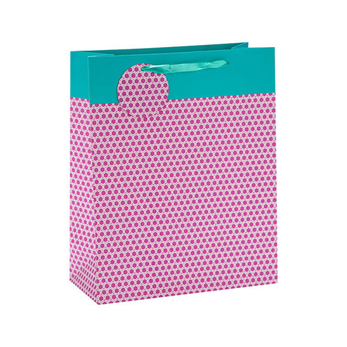 Bolsa de papel plegable de moda del regalo de la manija de la cinta con la etiqueta de papel en el embalaje de la palanca