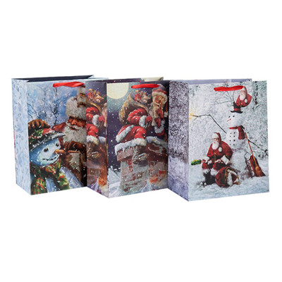 2018 Noël fantaisie Design artisanat imprimé sac en papier avec différentes tailles avec 3 dessins assortis en Tongle emballage