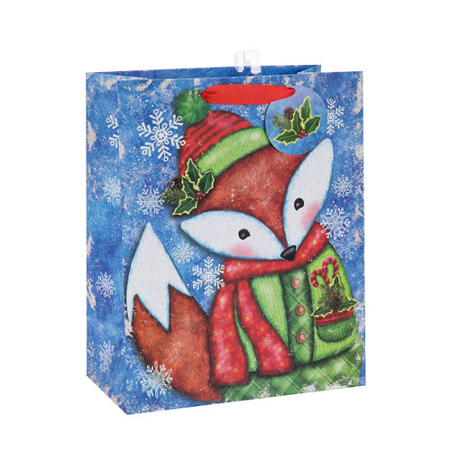 最新の優れた品質の装飾的なクリスマスギフト紙のパッケージバッグは、3つのデザインと異なるサイズのTongleパッキングで盛り合わせ