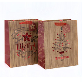 Tragbare Weihnachtsgeschenk Verpackung Schöne Druck Papiertüte mit unterschiedlicher Größe mit 2 Designs Assorted in Tongle Verpackung