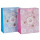 Ribbon Handles Custom Design Eigene Logo Print Tägliche Papiertüte mit Hang Tag mit unterschiedlicher Größe mit 2 Designs Assorted in Tongle Verpackung