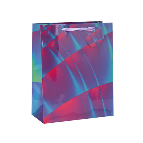 リサイクル可能なトップ品質のカスタムデザインの紙ギフトバッグは、4つのデザインとは異なるサイズのハングタグとTongleパッキングで盛り合わせ