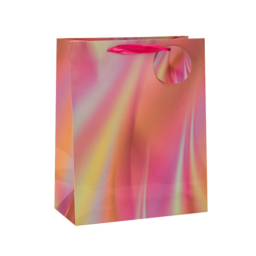 Recycelbare Top-Qualität Custom Design Papier Geschenktüten mit Hang-Tag mit unterschiedlicher Größe mit 4 Designs Assorted in Tongle-Verpackung