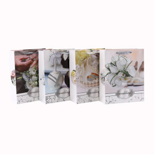 Weiße Pappblumen-romantische Art-Funkeln-Geschenk-Papiertüte mit 4 Entwürfen sortierte in der Tongle-Verpackung
