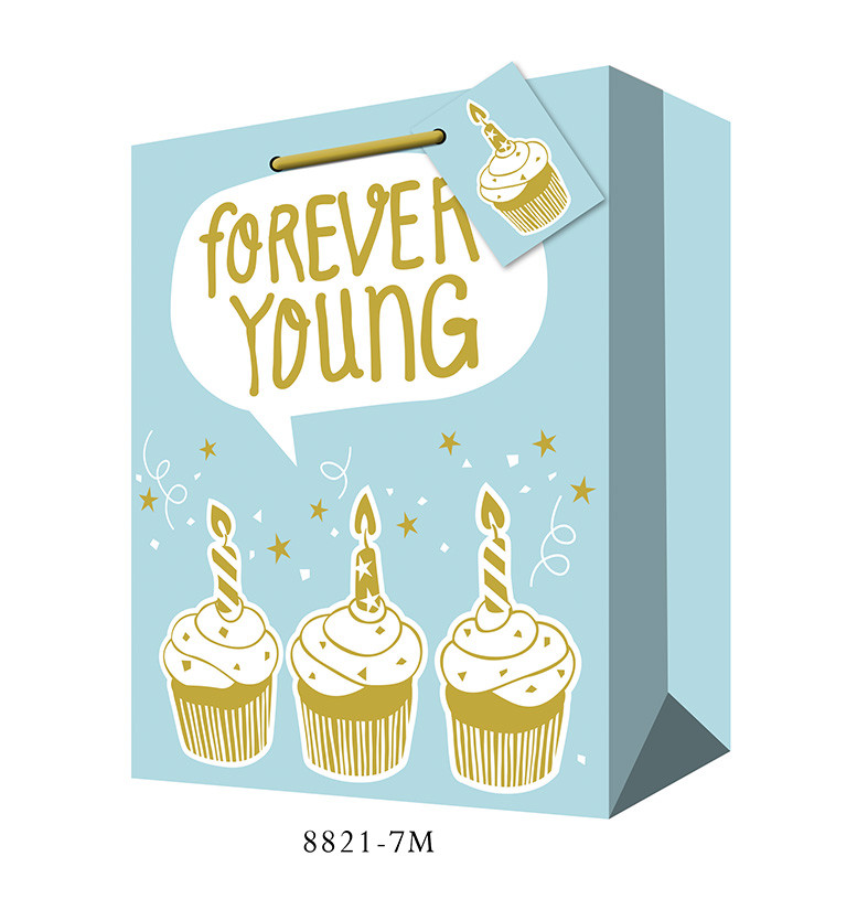 forever young happy birthday gift bag