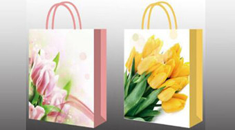 New Arrival Design Paper Bags