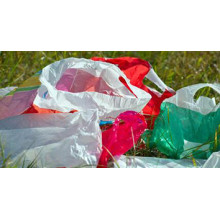 About The Plastic Bag Ban