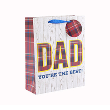 Fancy Design Recyclable Printed Logo Gift Paper Bag with 2 Designs Assorted