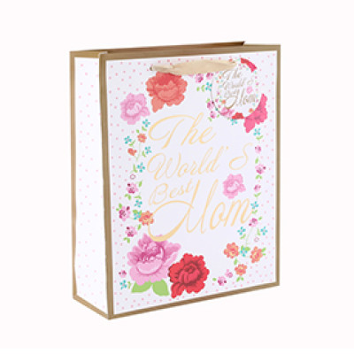 Fancy Design Recyclable Printed Logo Gift Paper Bag with 2 Designs Assorted