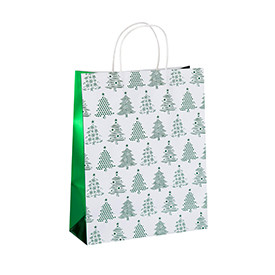 Eco-friendly Recycled Glossy Custom Design Printing Paper Carry Bags with Different Size