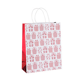 Eco-friendly Recycled Glossy Custom Design Printing Paper Carry Bags with Different Size