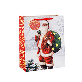 Custom Size Christmas Tree Paper Gift Bag with Different Size