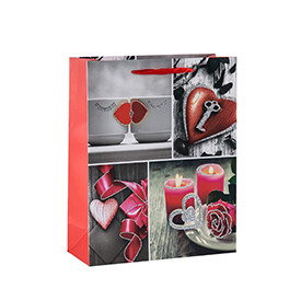 A hear felt Valentine's Day paper gift bags with 4 designs assorted